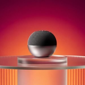 Speaker