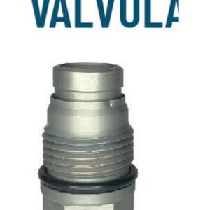 Válvula PLV Bosch 0015