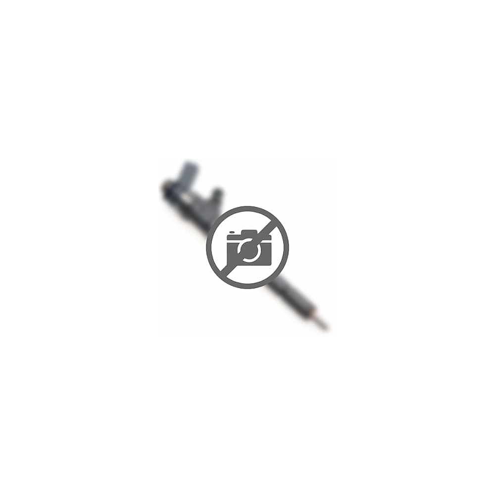 Inyector Bosch 0445 110 584 - Hyundai Santa Fe / Kia Sorento