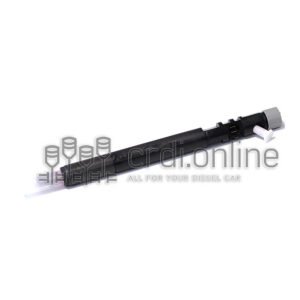 Inyector Delphi EJBR04701D - Ssangyong Actyon
