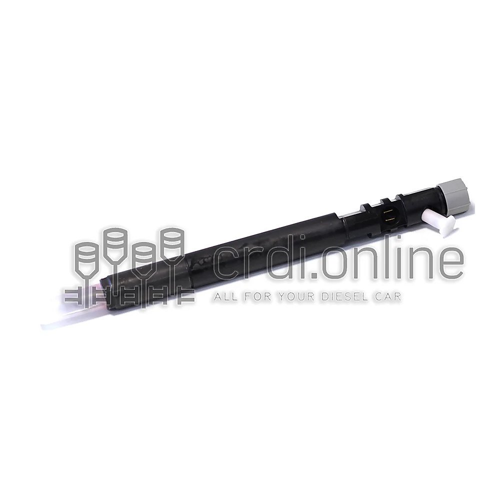 Inyector Delphi EJBR04701D - Ssangyong Actyon